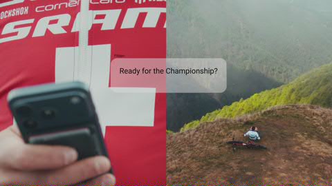 Spot Preview